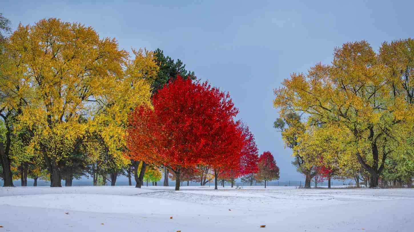 Seasonal Changes