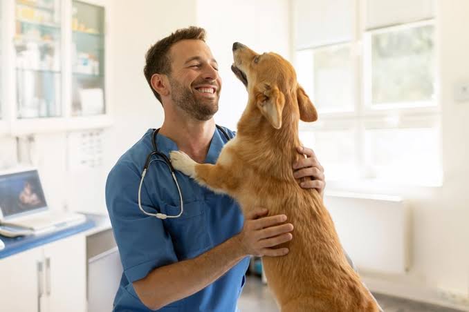 Veterinary Hospitals